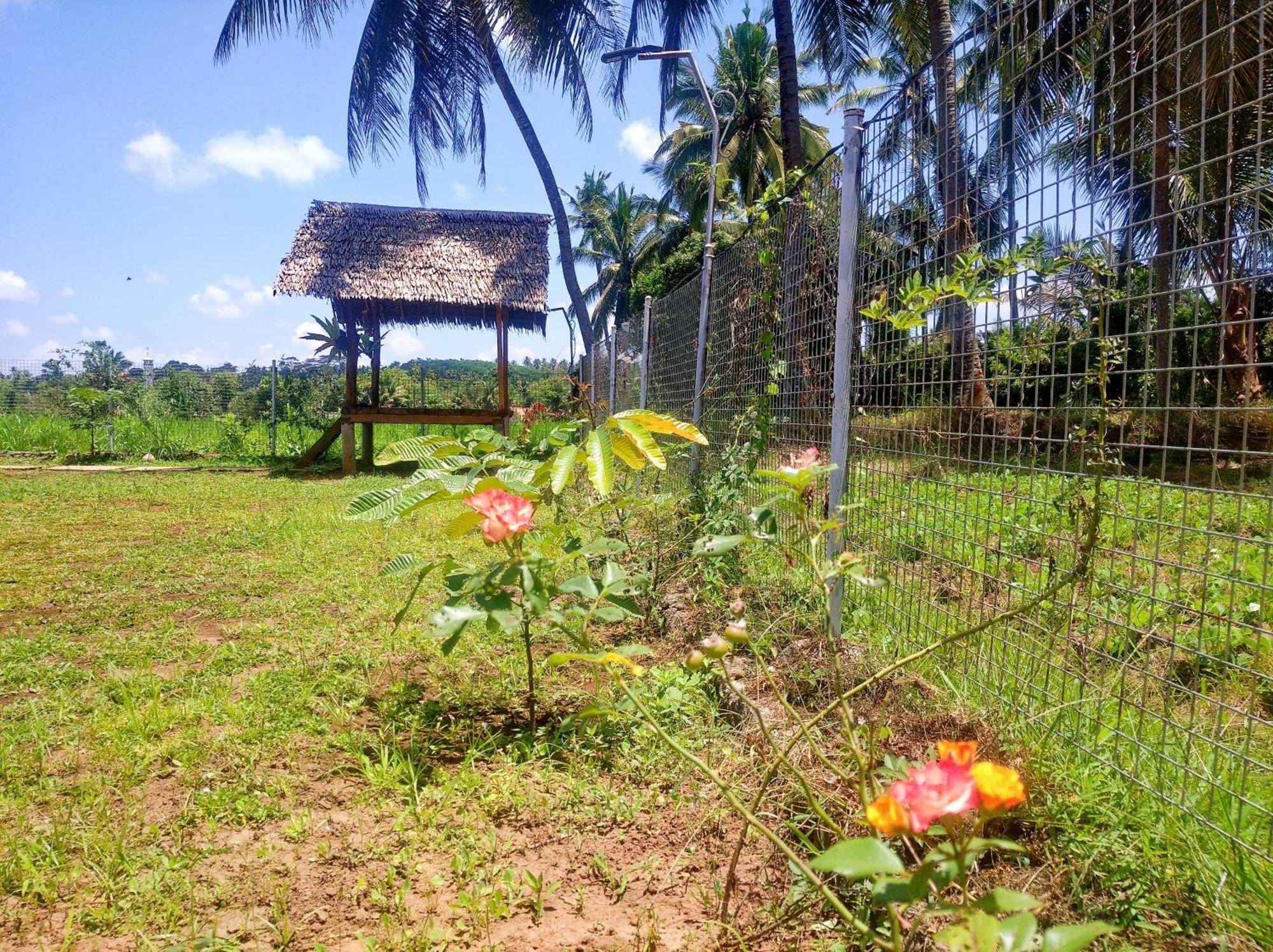 בניוואנגי Wooden Kemiren Homestay Banyuwangi מראה חיצוני תמונה