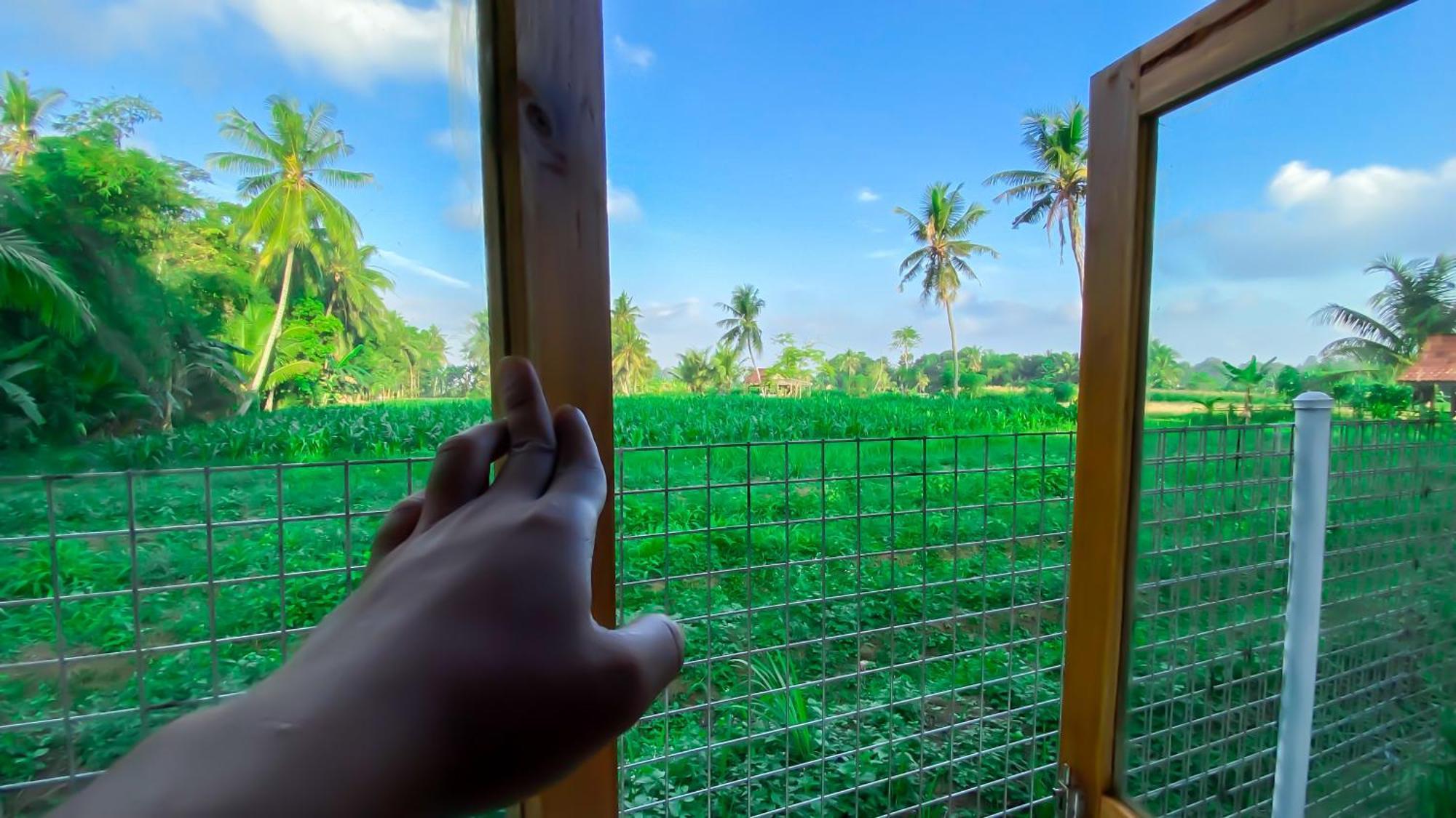 בניוואנגי Wooden Kemiren Homestay Banyuwangi מראה חיצוני תמונה